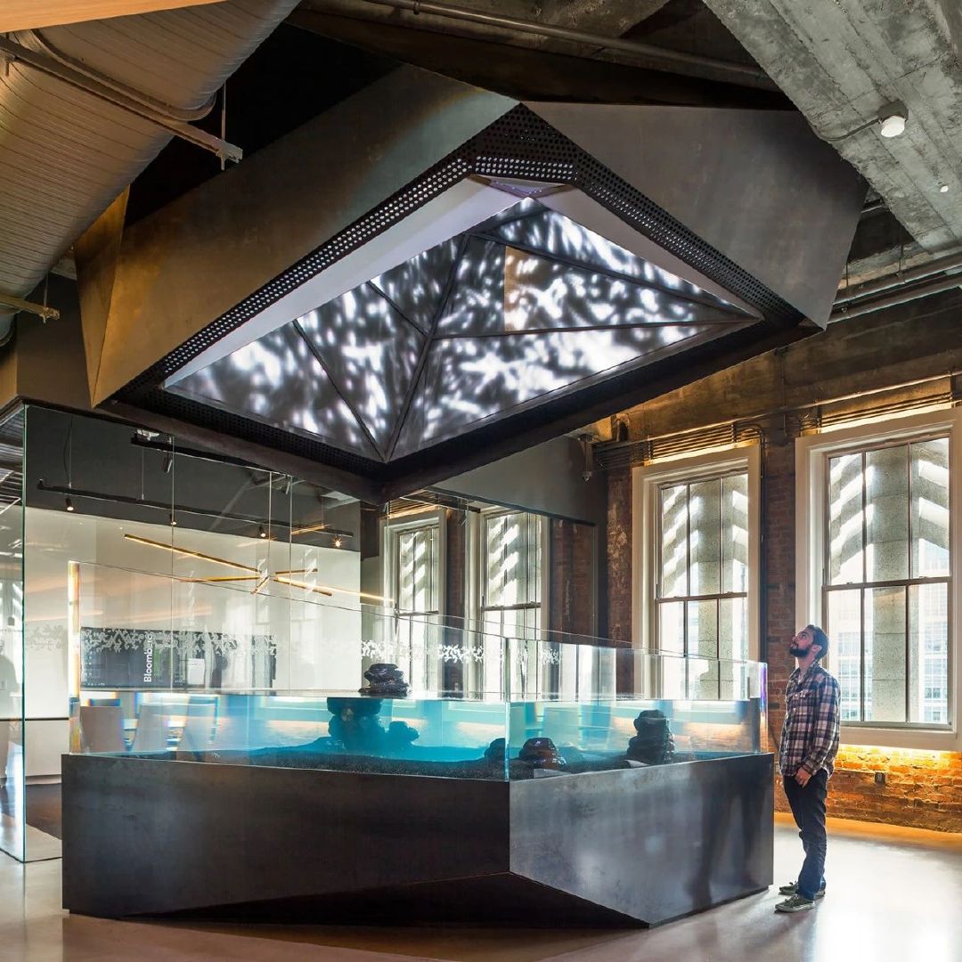 菱形魚缸設計 菱形魚缸設計